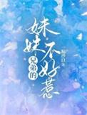 兄弟的妹妹不好惹相似的