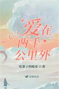 爱在两千公里外书评