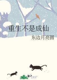 重生不是万能的免费阅读