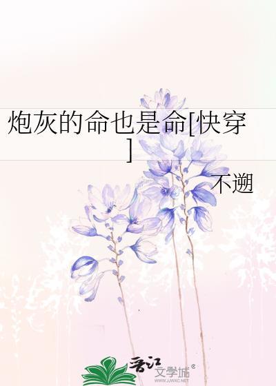 炮灰的解释是什么