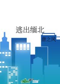 逃出缅北炼狱