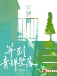 等到青蝉坠落txt盘
