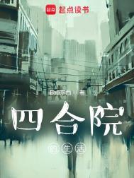 四合院样子
