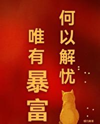 何以解忧唯有暴富英文