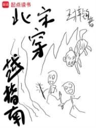 北宋穿越指南八一中文网