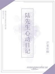 陆先生心动日记txt百度