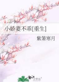 小娇妻完结番外