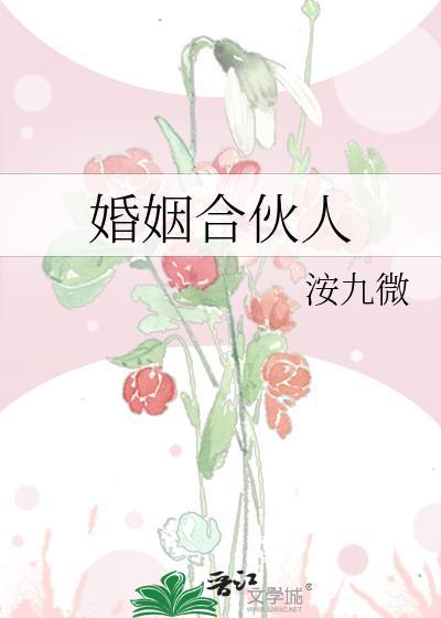 婚姻合伙人贺清辞