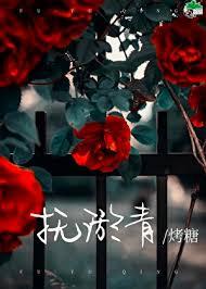 抚淤青晋江