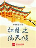 红楼之挽天倾免费阅读无广告