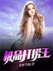 极品打捞王免费全文阅读