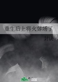 重生后上将火葬场了番外