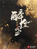 醉金盏 玖拾陆TXT