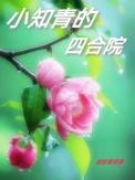 小知青的四合院完结了吗