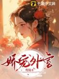 娇宠外室妃要攻略