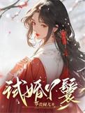试婚丫鬟是什么意思啊