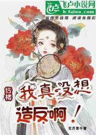 红楼我真没想造返二手电瓶
