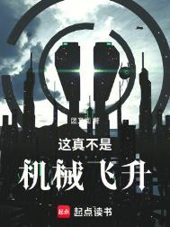 这真不是机械飞升境界