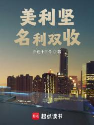 美利坚名利双收精校版