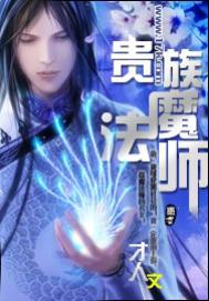 贵族魔法师 才人