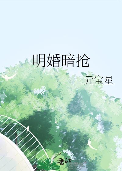明婚暗抢番外百度