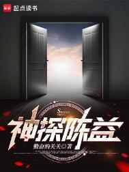 神探陈益阳城是哪里