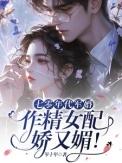 七零年代当军嫂全文免费阅读