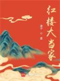 红楼大当家人物关系图