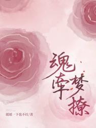 魂牵梦撩慕颜免费阅读