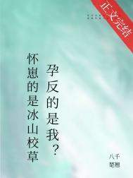 怀崽的是清冷美人宿敌孕反晋江