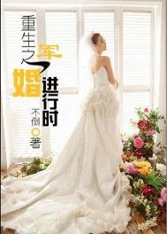重生之军婚进行时年代文