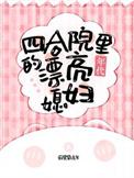 四合院老婆有背景