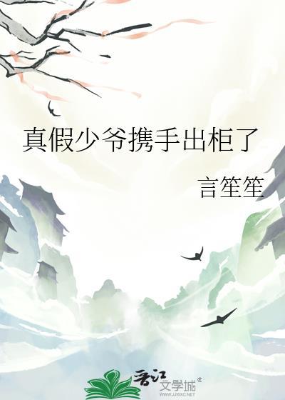 真假少爷ai剧