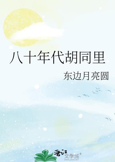 80年代胡同里txt电子书