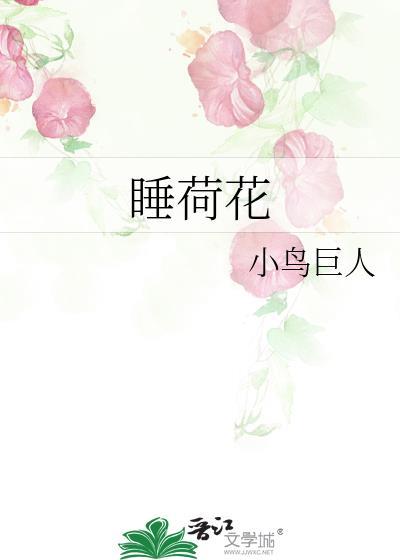 睡荷花txt全文
