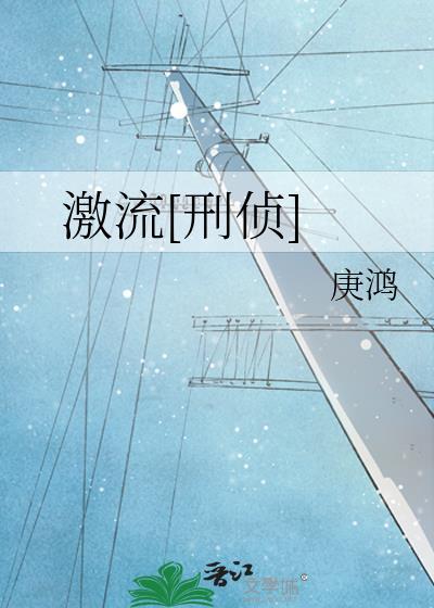激流电视剧介绍