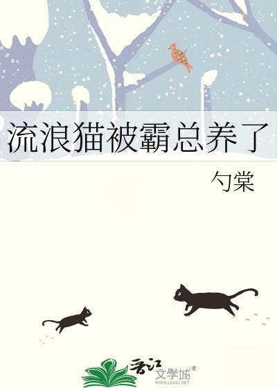 流浪猫被收养后会珍惜吗