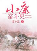 小康社会奋斗目标是哪一年提出的