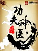 功夫神医全集 全集
