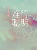 难得聪明by师小札