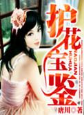 护花宝鉴完整版