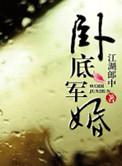 卧底军人电视剧