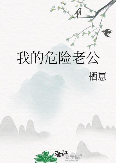 我的危险老公结局