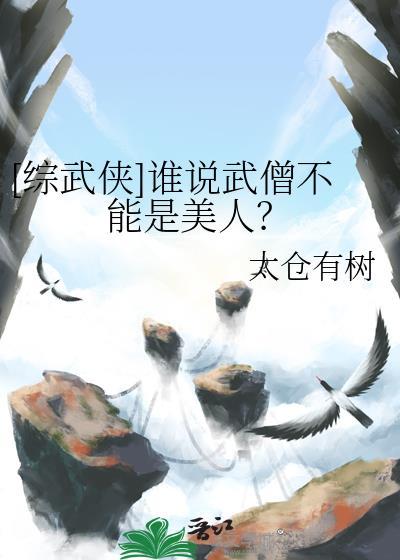 武僧系统