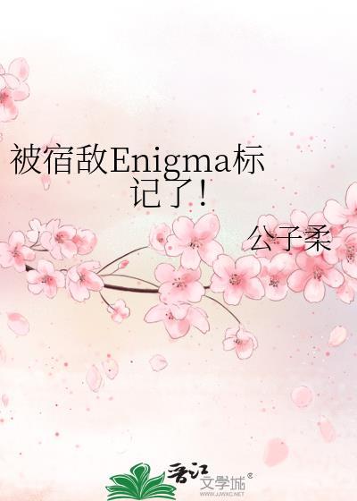 被宿敌标记后盛川