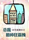 总裁酷帅狂霸拽39