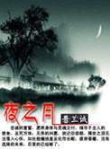 夜之月写的