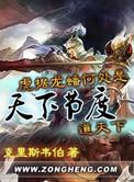 天下节度书评