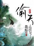 偷天宝鉴在线观看免费版