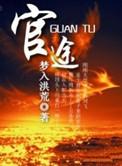 官途开局大姨姐
